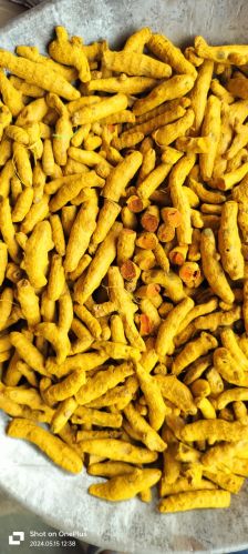 Natural Selam Turmeric, Packaging Size : 50Kg Food Grade