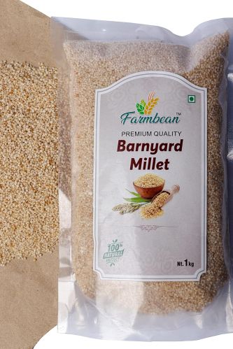 Barnyard millet, Packaging Type : Creamy White for Cooking, Baking