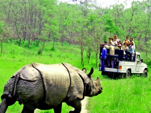 Chitwan Tour Package