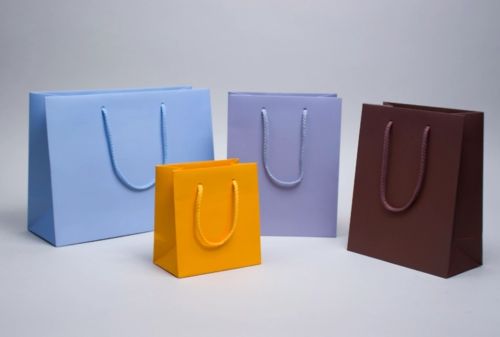 Laminated Printed Paper Bag, Packaging Type : Multicolour