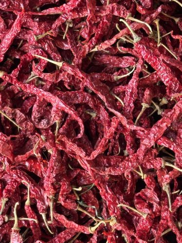 Natural 355 Byadgi Red Chilli, Packaging Size : 5Kg, 10Kg, 25Kg