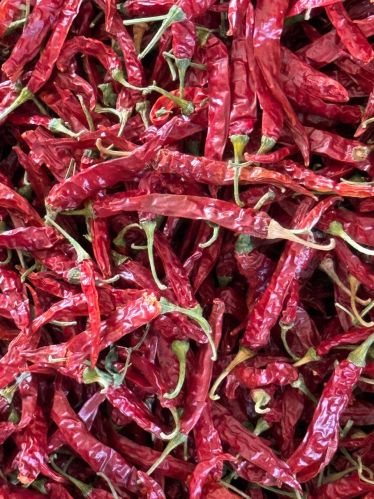 Natural Armur Red Chilli, Packaging Size : 5Kg, 10Kg, 25Kg