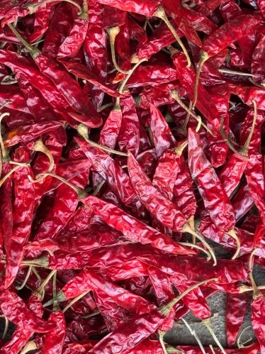 Raw Natural Classic Dry Red Chilli for Food Medicine, Spices, Cooking