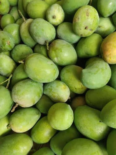 Natural Alphonso Mangoes, Packaging Type : Yellow, yellow