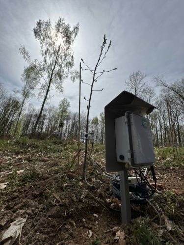 Ugt Talking Tree System, Color : Grey