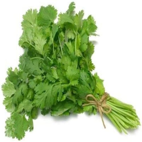 Organic Fresh Coriander Leaves, Color : Green for Culinary