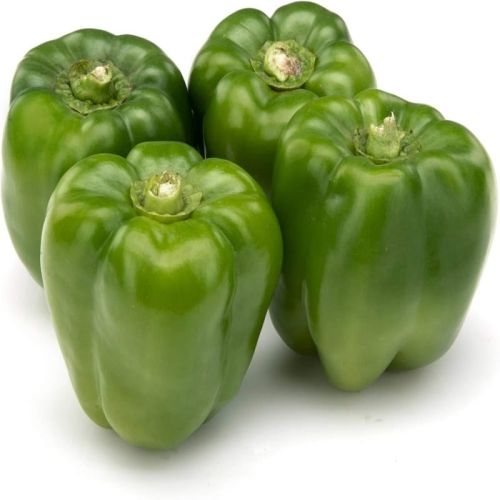 Organic Fresh Green Capsicum for Cooking