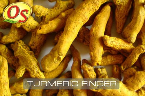 OS Turmeric Finger, Color : Bright Yellow, Form : Whole