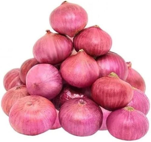 Natural Red Onion, Shape : Round for Cooking, Food