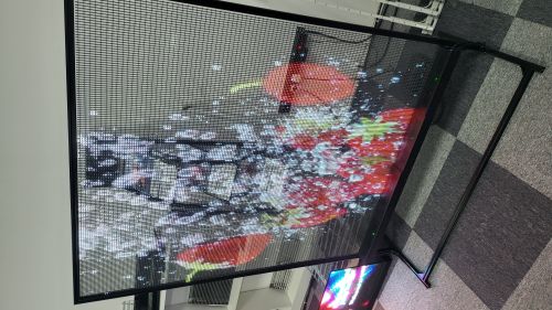 Indoor Transparent Mesh LED Screen, Brand Name : Rak