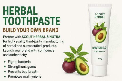 Herbal Toothpaste, Certification : Fda Certified, Haccp Certified