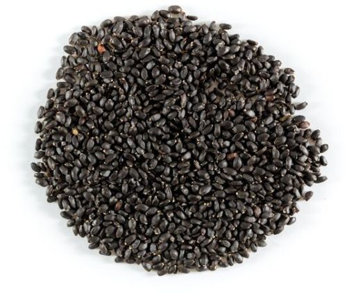 Basil Seeds, Color : Black