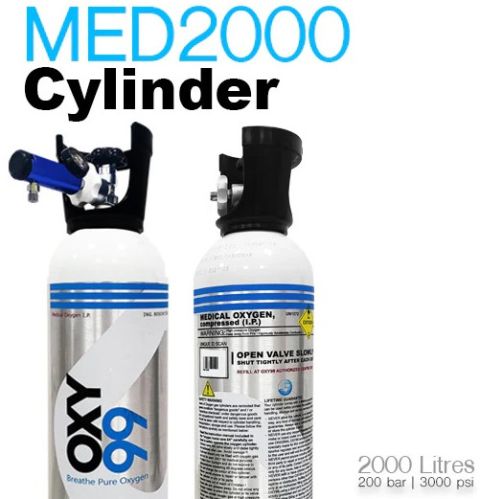B-TYPE Oxygen Cylinder System (2000 Litres), Packaging Type : Silver