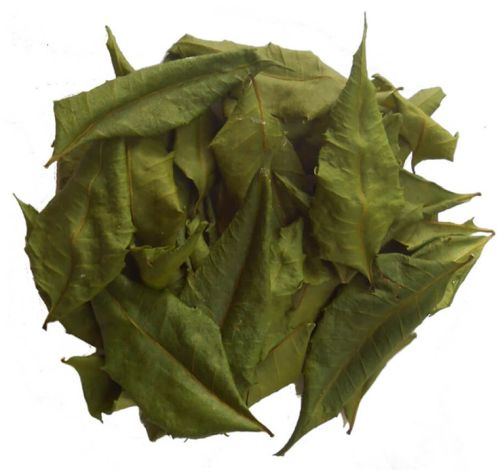 Dried Neem Leaves for Used In Ayurveda