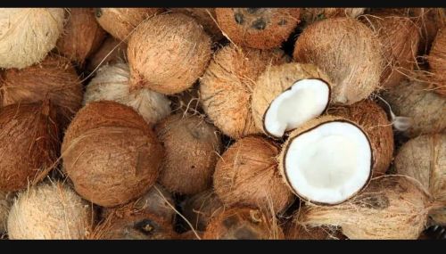 Dried Copra Coconut, Color : Brown