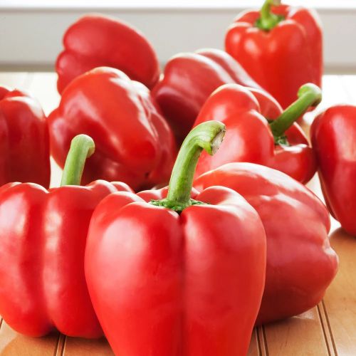 Fresh Red Bell Pepper for Salads, Grilling