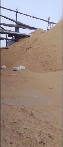 Paddy Husk, Packaging Type : Plastic Sack Bags