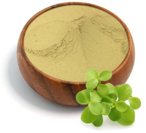 Bacopa Powder, Color : Green