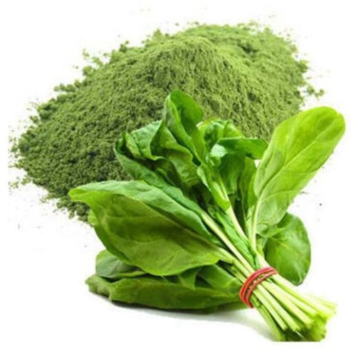 Spinach Powder, Color : Green, Packaging Type : Resealable Pouch