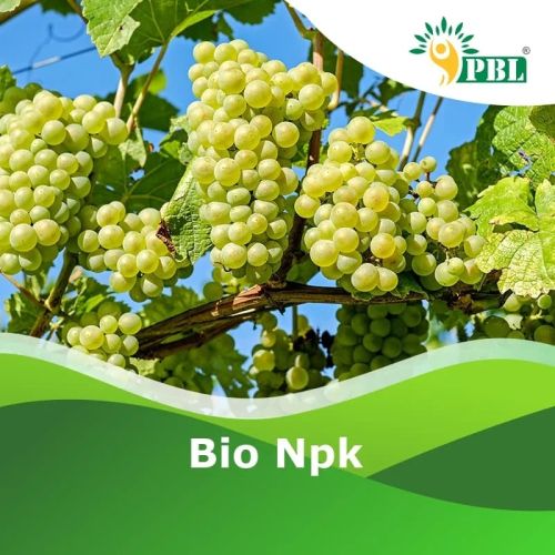 Bentonite Bio NPK Consortium Fertilizer