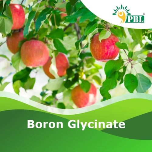Boron Glycinate