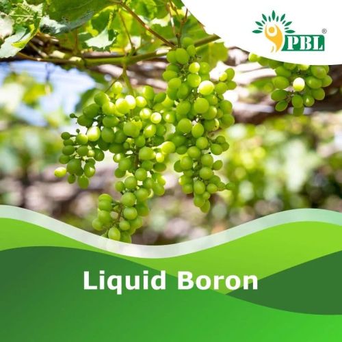 Liquid Boron