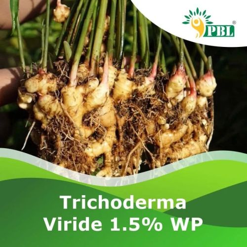 Trichoderma Viride Bio Fungicides