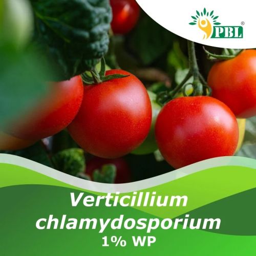 Verticillium Chlamydosporium 1% Wp