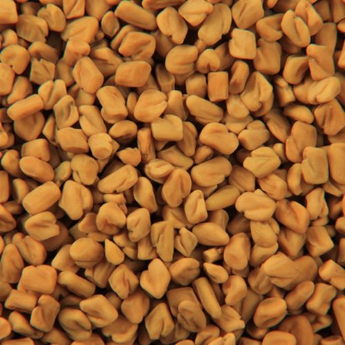 Fenugreek Seed, Packaging Type : Plastic Packet for Spices