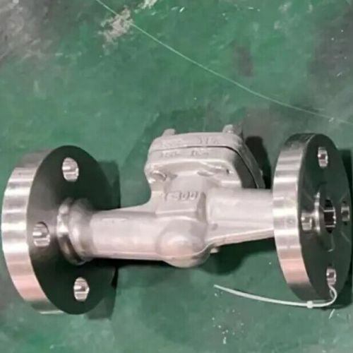 API 602 Lift Check Valve, ASTM A182 F316l, 1 Inch, 300 LB