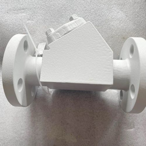 API 602 Y Pattern Check Valve, ASTM A182 F316, 1 In, 150 LB