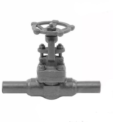 ASTM A105N Extend Body Gate Valve, API 602, 3/4 Inch, 800 Lb