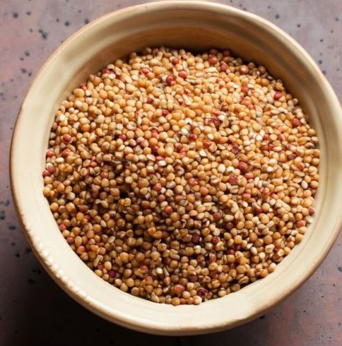 Sorghum, Color : White, Red, Brown