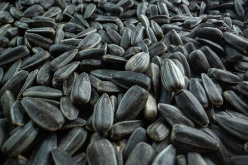 Sunflower Seeds