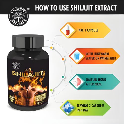 Wildvedic Shilajit Capsules