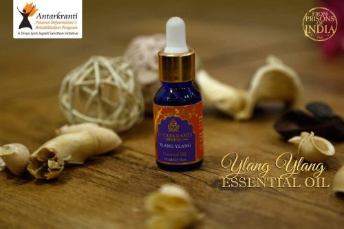 Ylang Ylang Diffuser Aroma Oil: Elevate Your Space