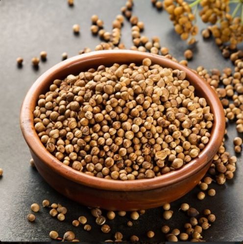 Coriander Seeds for Enhancing Flavor OF Food, Medicinal Purposes
