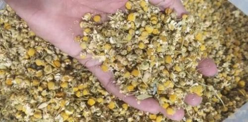 Dried Chamomile Flower for Candle, Color : Yellow