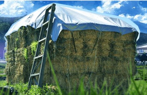 PVC Laminated Tarpaulins