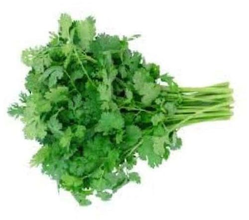 Coriander Leaves, Color : Green