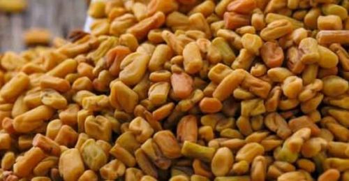 Fenugreek Seed, Color : Yellow