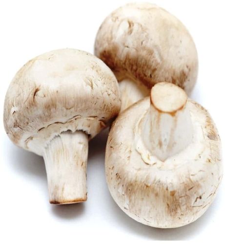 Fresh Mushroom for Salads, Soups, Stir-fries