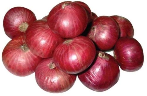 Fresh Red Onion for Cooking, Salads, Garnish