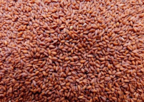 Cress Seeds, Color : Varies for Used In Salads, Soups, Smoothies.