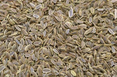 Dill Seeds, Color : Brown