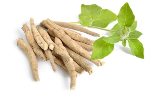 Indian Ginseng Extract, Color : Green