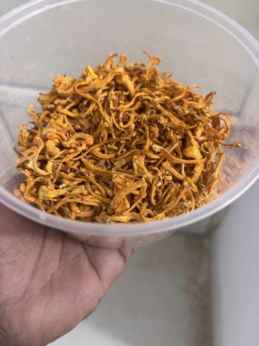 Cordyceps Militaris Mushroom, Form : Raw (Dried)