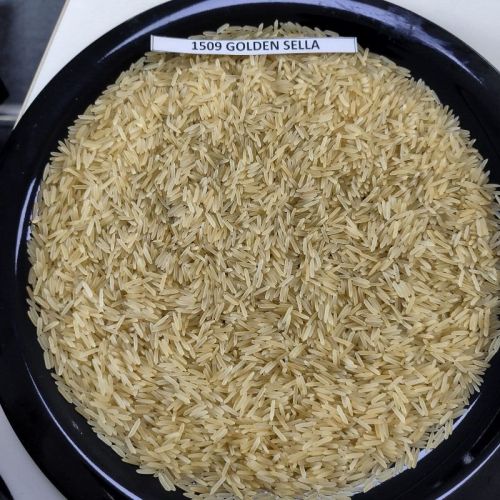 Sella Indian Sama Rice, Packaging Size : 5-25kg for Cooking