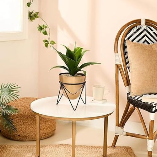 Non Polished Metal Planters with Stand for Home, School