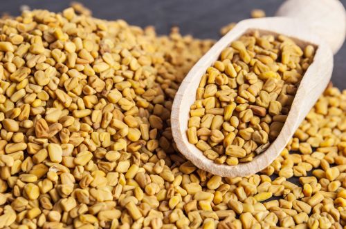 Fenugreek Seeds, Grade Standard : Food Grade, Purity : 99.9%